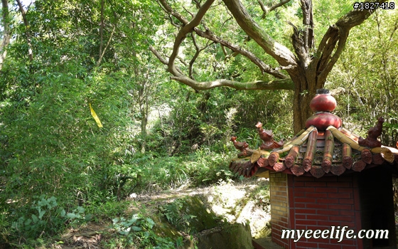 碧山巖一下午小旅行 – 中級篇 (一)：探尋白石湖地名中的「白石」，圓覺尖攻頂！