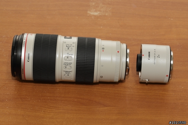 [開箱]：EF70-200mm F2.8L IS II USM(小白兔) + Extender EF 2 x III(增距鏡)[2011年6月29號更新]