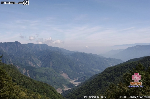 阿里山公路路況
