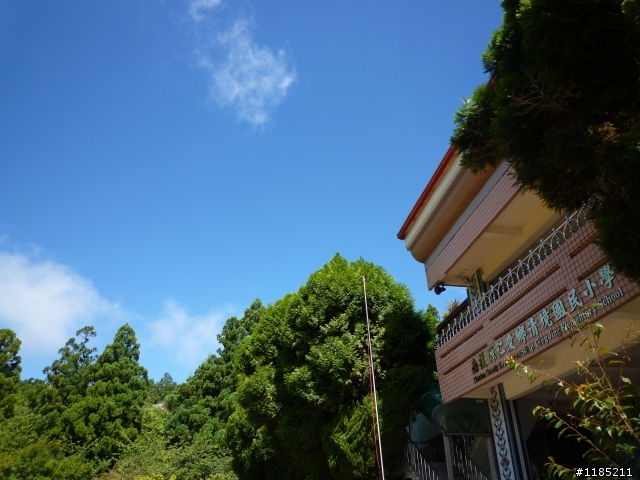 今年夏天騎機車帶丁小兔上合歡山看玉山杜鵑花