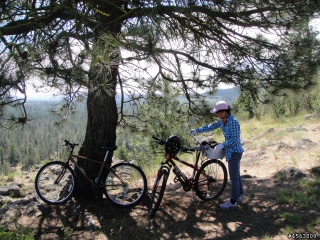 漫遊單車道Spokane River Centennial Trail~與女王騎車趣