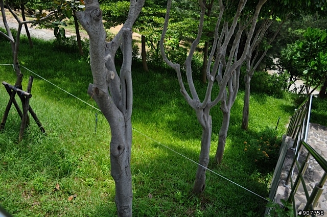 坐山觀海的山中小居 （全文完）