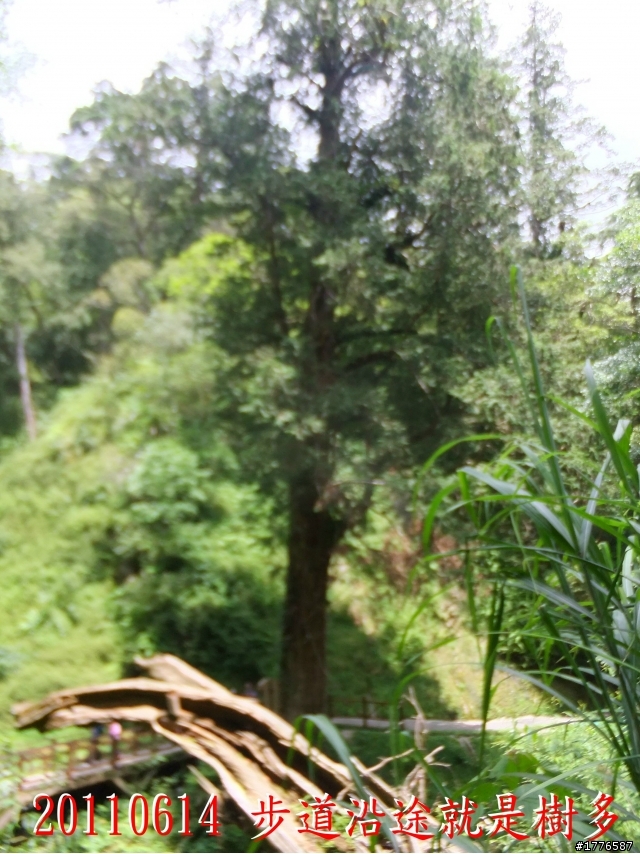 20110614  拉拉山福巴越嶺古道福山自行車之旅