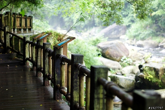 蓬萊溪護魚步道