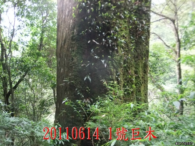 20110614  拉拉山福巴越嶺古道福山自行車之旅