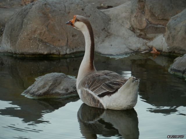 G3非常之不專業開箱文~(更新6/24多了一些實拍照)