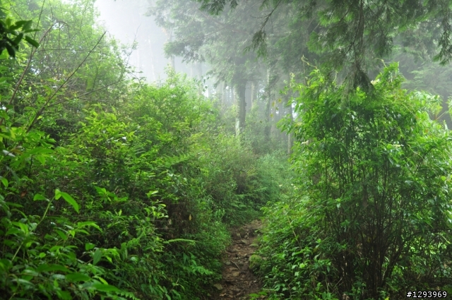 久違的鳶嘴山