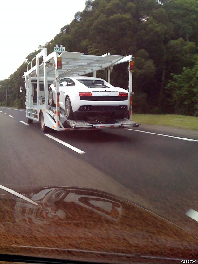 國道3號上不能動的小牛...