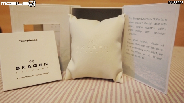 [開箱]  首發 !!! Skagen 809XLTTM