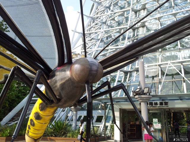 Galaxy S2 試拍，歡迎一起貼上來分享^^