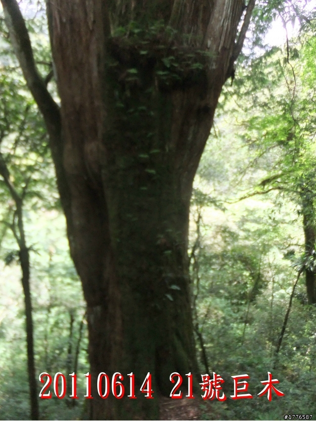 20110614  拉拉山福巴越嶺古道福山自行車之旅