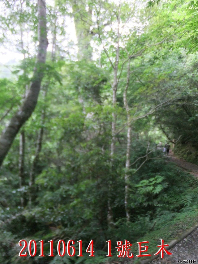 20110614  拉拉山福巴越嶺古道福山自行車之旅