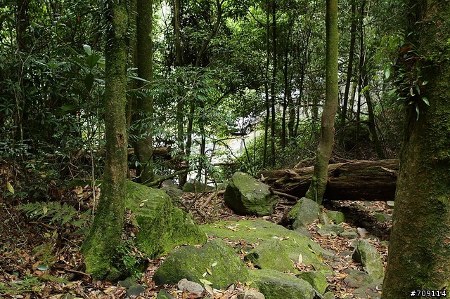 [ 登山健行 ] 中部岩場。鳶嘴