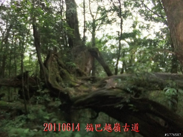 20110614  拉拉山福巴越嶺古道福山自行車之旅