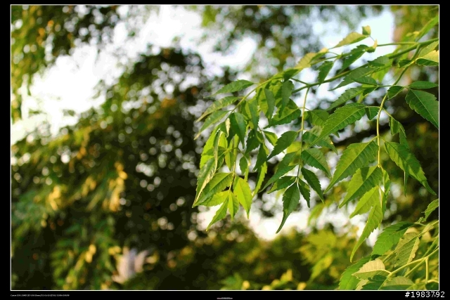[號召] CANON 1100D 蓋大樓啦!!!!