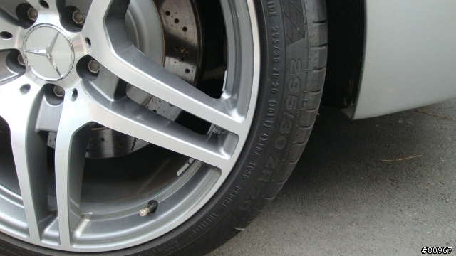 罕見的鳥車