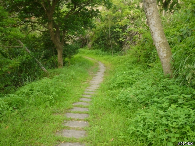鹿廚坑步道上的輕嘆