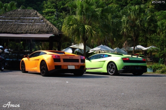 早起的鳥兒有蟲吃(圖有點多)