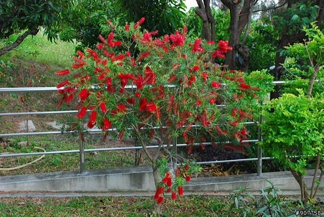 坐山觀海的山中小居 （全文完）