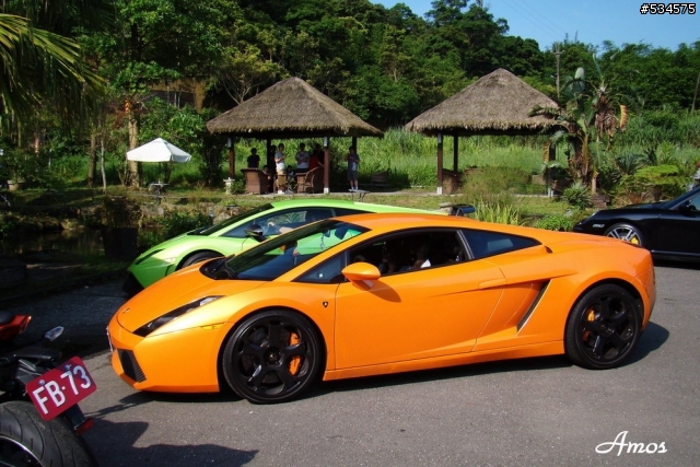 早起的鳥兒有蟲吃(圖有點多)