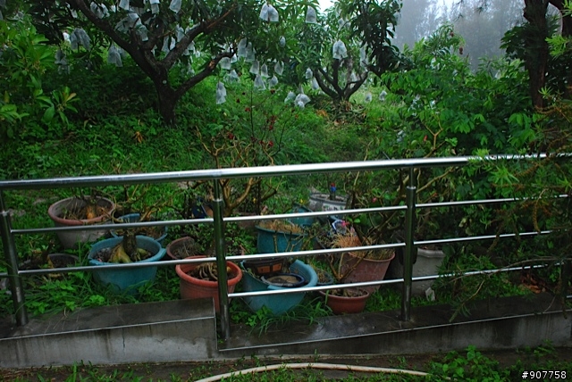坐山觀海的山中小居 （全文完）