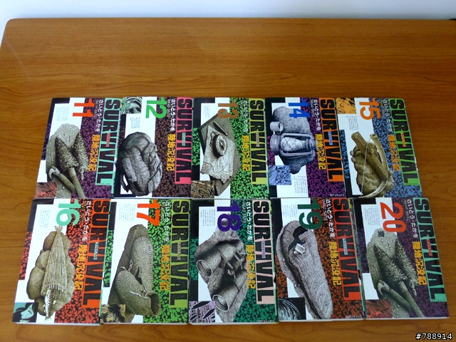 N 年前買的〔陸地沉沒記〕全套 20 集