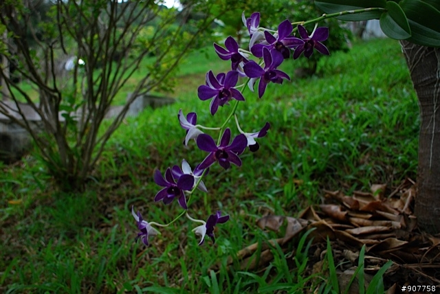 坐山觀海的山中小居 （全文完）