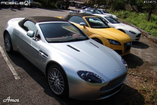 早起的鳥兒有蟲吃(圖有點多)