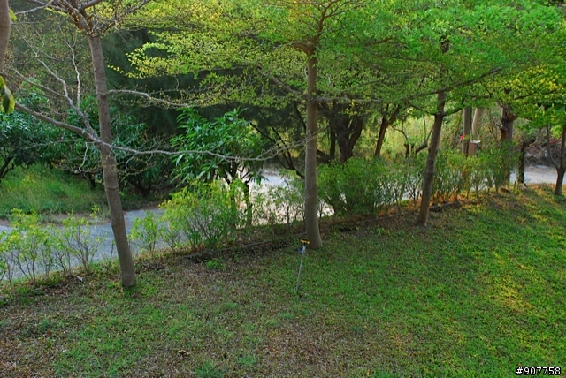 坐山觀海的山中小居 （全文完）
