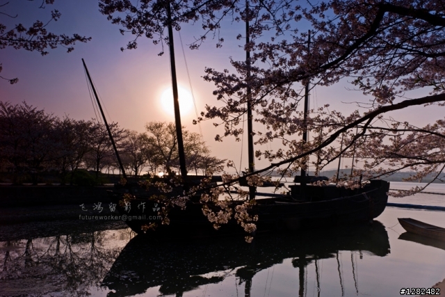 Leica M9的菜鸟影像集