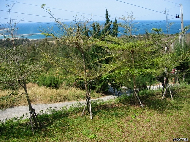 坐山觀海的山中小居 （全文完）