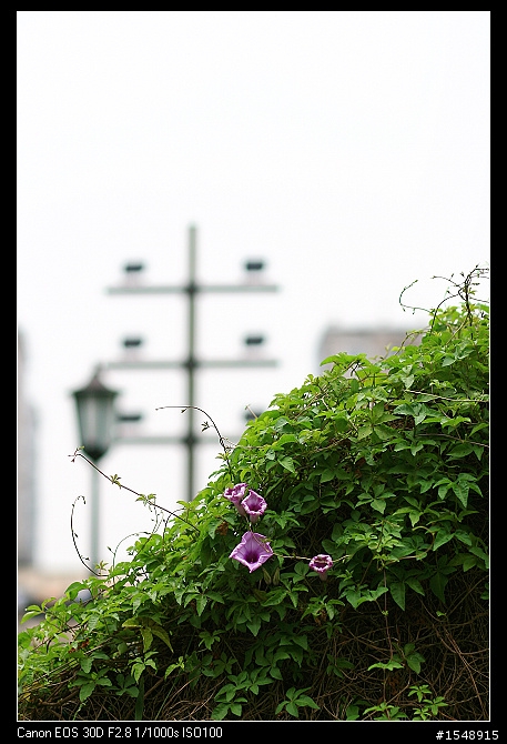 EF 85mm f/1.8 USM冷門鏡來蓋大樓