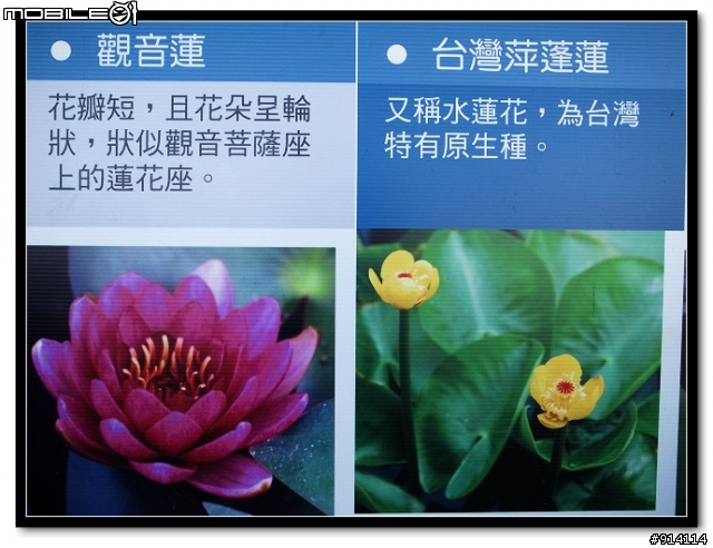 O 家的朋友,一起來蓋2011年蓮花大樓囉!