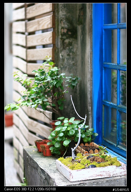 EF 85mm f/1.8 USM冷門鏡來蓋大樓