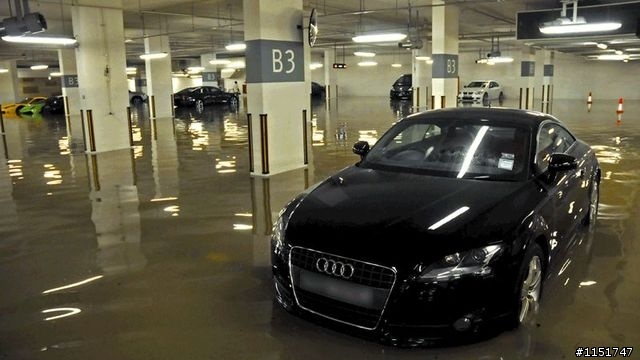 牛兒馬兒都來泡澡囉，綠青蛙也來湊一腳