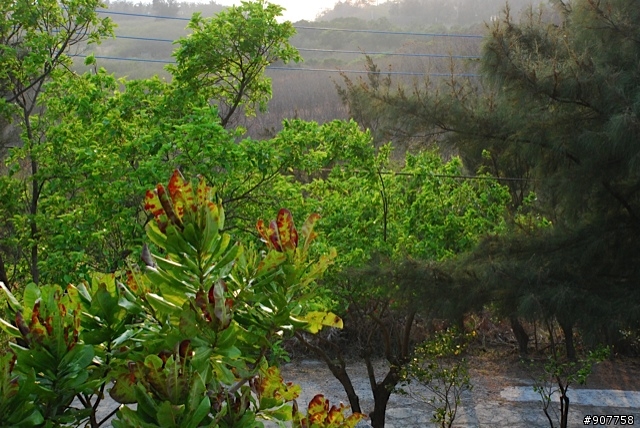 坐山觀海的山中小居 （全文完）