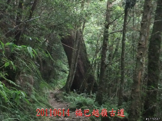 20110614  拉拉山福巴越嶺古道福山自行車之旅