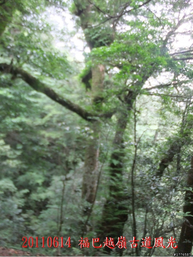 20110614  拉拉山福巴越嶺古道福山自行車之旅