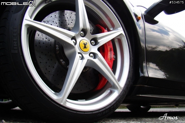 早起的鳥兒有蟲吃(圖有點多)