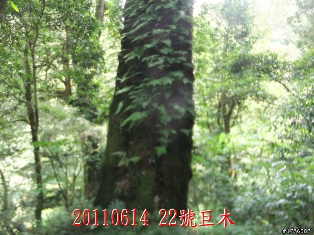 20110614  拉拉山福巴越嶺古道福山自行車之旅