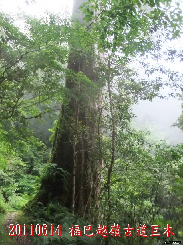 20110614  拉拉山福巴越嶺古道福山自行車之旅