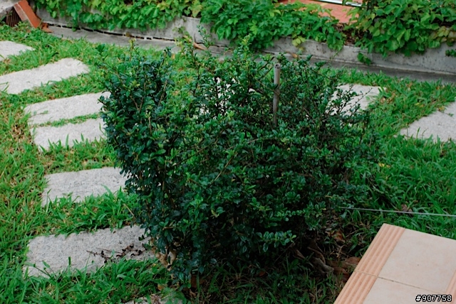 坐山觀海的山中小居 （全文完）