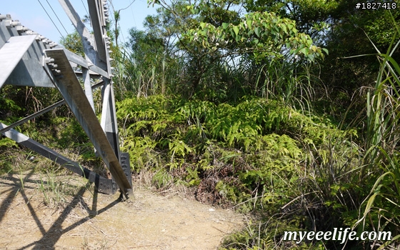 碧山巖一下午小旅行 – 中級篇 (一)：探尋白石湖地名中的「白石」，圓覺尖攻頂！