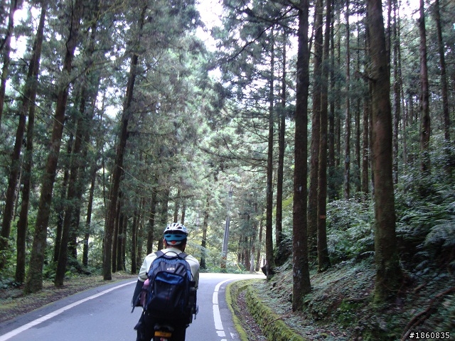 北橫單車遊記