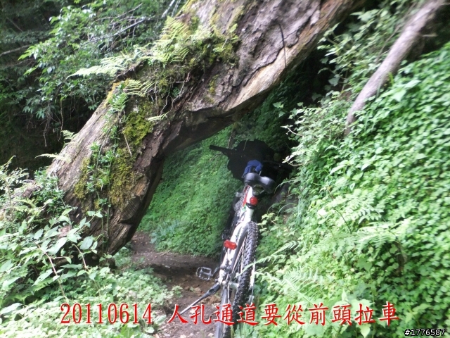 20110614  拉拉山福巴越嶺古道福山自行車之旅