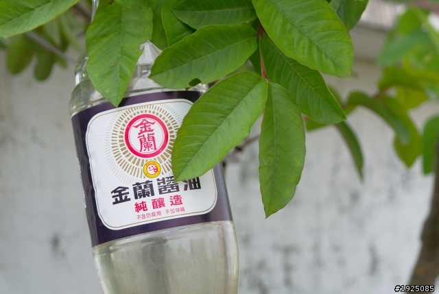 NX11 (新手照分享)