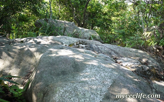 碧山巖一下午小旅行 – 中級篇 (一)：探尋白石湖地名中的「白石」，圓覺尖攻頂！