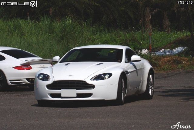 早起的鳥兒有蟲吃(圖有點多)