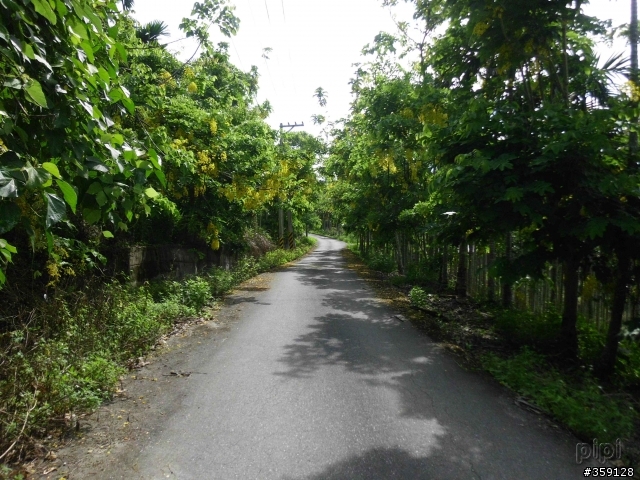 2011-07-03 米棧水璉(花38-1) 箭瑛(花46)  產業道路 縣193 [花蓮小橫貫]