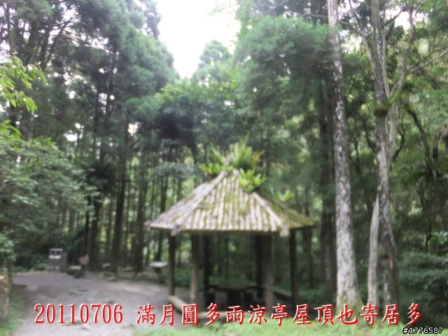 20110706 東眼山東滿步道滿月圓自行車之旅